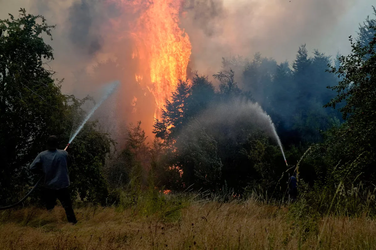 El nuevo subsecretario de Ambiente aseguró que el Gobierno falló en la prevención de incendios